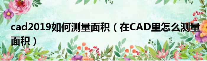 cad2019如何测量面积 在CAD里怎么测量面积