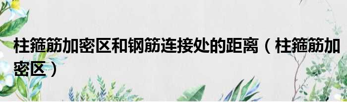 柱箍筋加密区和钢筋连接处的距离 柱箍筋加密区