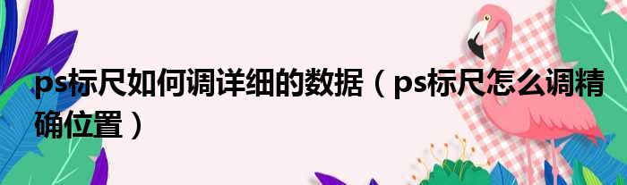 ps标尺如何调详细的数据 ps标尺怎么调精确位置