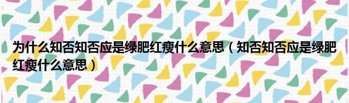 为什么知否知否应是绿肥红瘦什么意思 知否知否应是绿肥红瘦什么意思