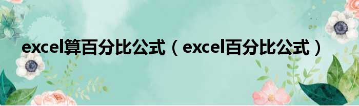 excel算百分比公式 excel百分比公式