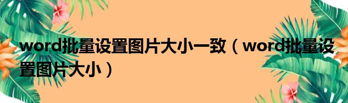word批量设置图片大小一致 word批量设置图片大小