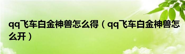 qq飞车白金神兽怎么得 qq飞车白金神兽怎么开