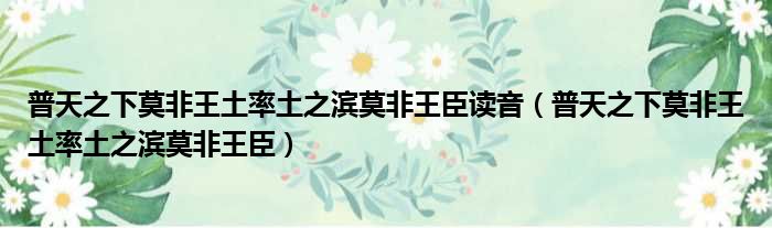 普天之下莫非王土率土之滨莫非王臣读音 普天之下莫非王土率土之滨莫非王臣
