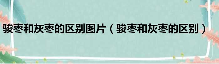 骏枣和灰枣的区别图片 骏枣和灰枣的区别