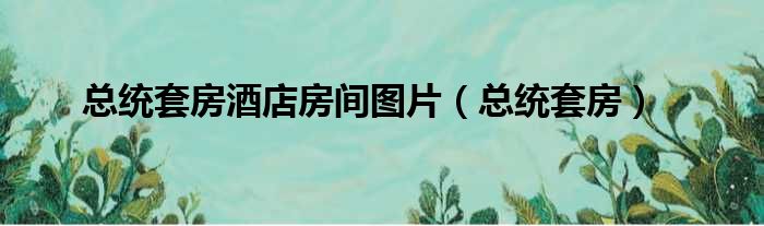 总统套房酒店房间图片 总统套房
