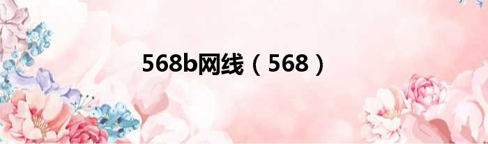 568b网线 568