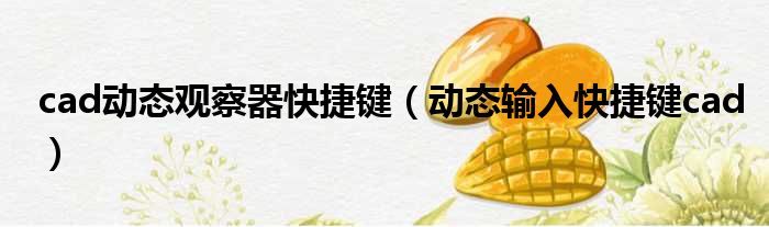 cad动态观察器快捷键 动态输入快捷键cad