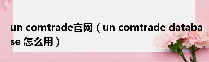 un comtrade官网 un comtrade database 怎么用