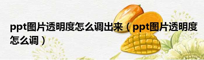 ppt图片透明度怎么调出来 ppt图片透明度怎么调