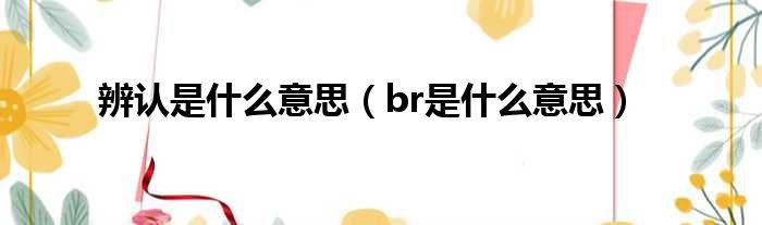 辨认是什么意思 br是什么意思