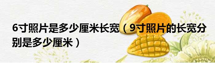 6寸照片是多少厘米长宽 9寸照片的长宽分别是多少厘米