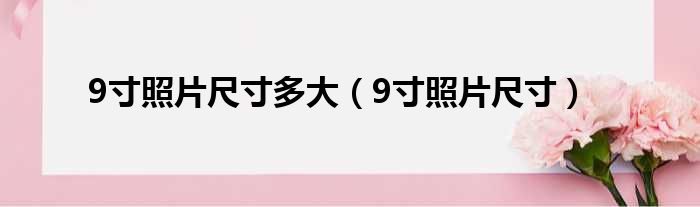 9寸照片尺寸多大 9寸照片尺寸