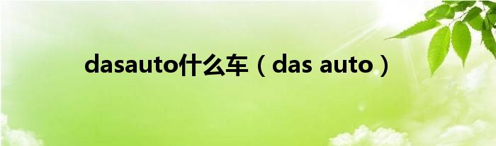 dasauto什么车 das auto