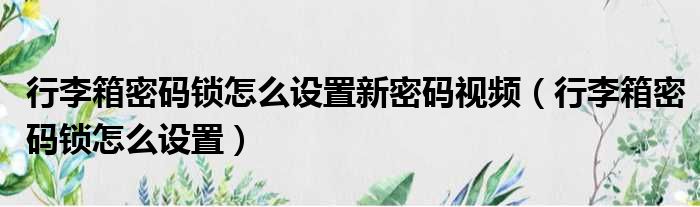 行李箱密码锁怎么设置新密码视频 行李箱密码锁怎么设置
