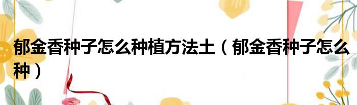 郁金香种子怎么种植方法土 郁金香种子怎么种