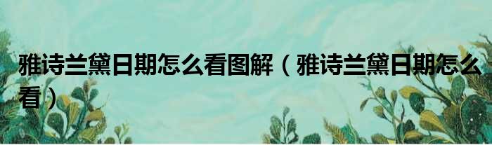 雅诗兰黛日期怎么看图解 雅诗兰黛日期怎么看