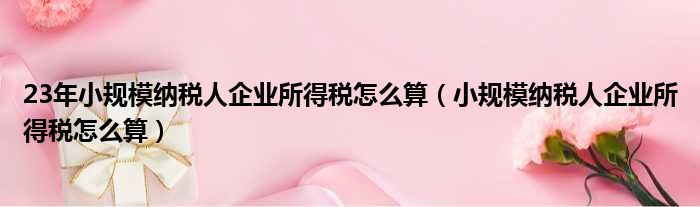 23年小规模纳税人企业所得税怎么算 小规模纳税人企业所得税怎么算