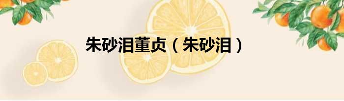 朱砂泪董贞 朱砂泪