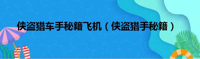 侠盗猎车手秘籍飞机 侠盗猎手秘籍