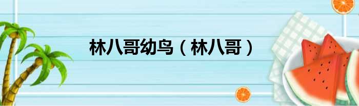 林八哥幼鸟 林八哥