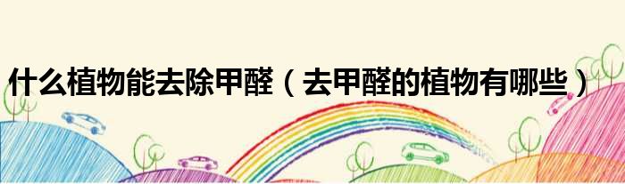 什么植物能去除甲醛 去甲醛的植物有哪些