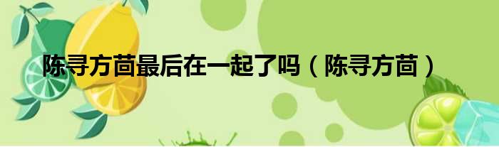 陈寻方茴最后在一起了吗 陈寻方茴