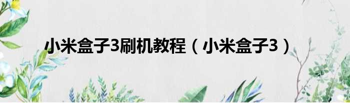 小米盒子3刷机教程 小米盒子3