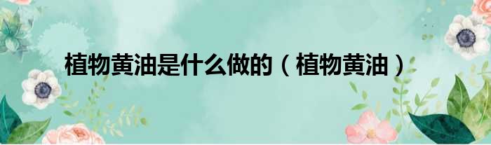 植物黄油是什么做的 植物黄油