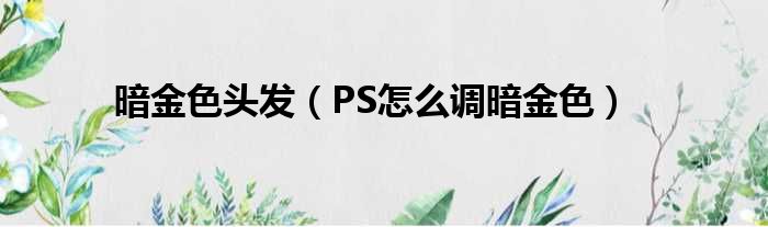 暗金色头发 PS怎么调暗金色
