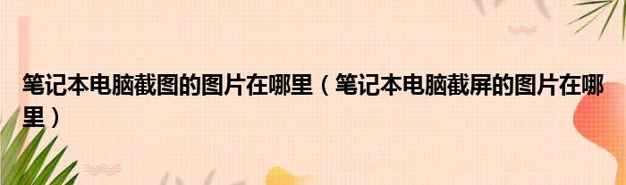 笔记本电脑截图的图片在哪里 笔记本电脑截屏的图片在哪里