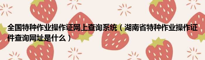 全国特种作业操作证网上查询系统 湖南省特种作业操作证件查询网址是什么