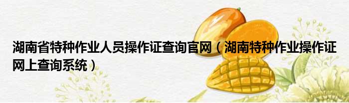 湖南省特种作业人员操作证查询官网 湖南特种作业操作证网上查询系统