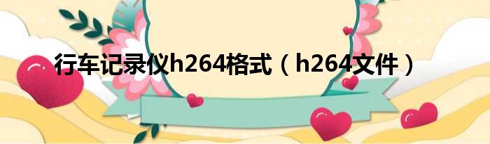 行车记录仪h264格式 h264文件