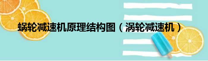 蜗轮减速机原理结构图 涡轮减速机