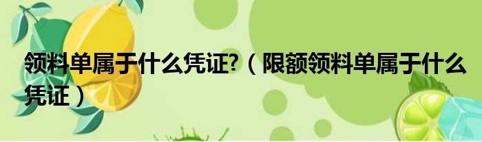 领料单属于什么凭证  限额领料单属于什么凭证