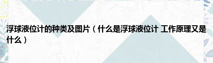 浮球液位计的种类及图片 什么是浮球液位计 工作原理又是什么