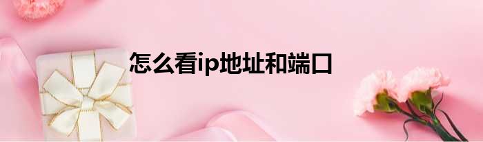 怎么看ip地址和端口