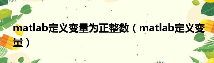 matlab定义变量为正整数 matlab定义变量