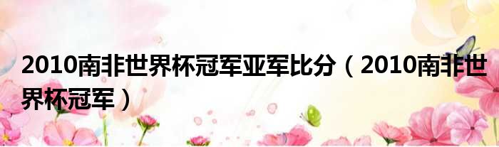 2010南非世界杯冠军亚军比分 2010南非世界杯冠军