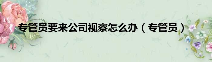 专管员要来公司视察怎么办 专管员