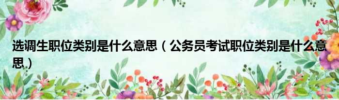 选调生职位类别是什么意思 公务员考试职位类别是什么意思