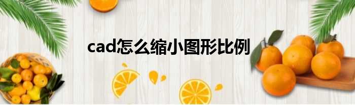 cad怎么缩小图形比例