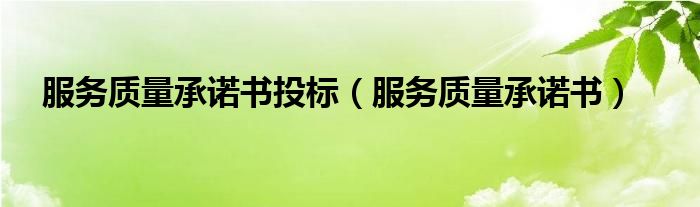 服务质量承诺书投标 服务质量承诺书