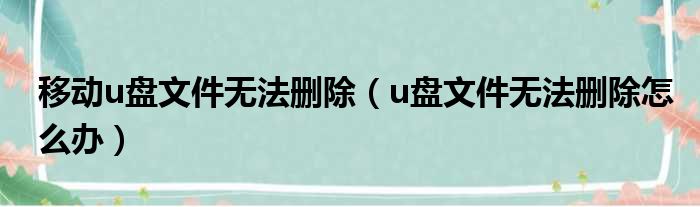 移动u盘文件无法删除 u盘文件无法删除怎么办