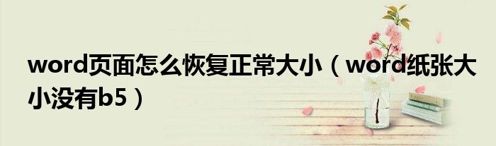 word页面怎么恢复正常大小 word纸张大小没有b5
