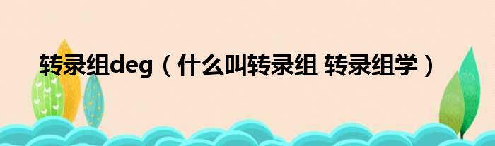 转录组deg 什么叫转录组 转录组学