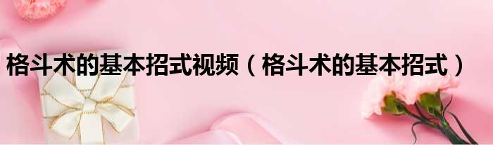 格斗术的基本招式视频 格斗术的基本招式