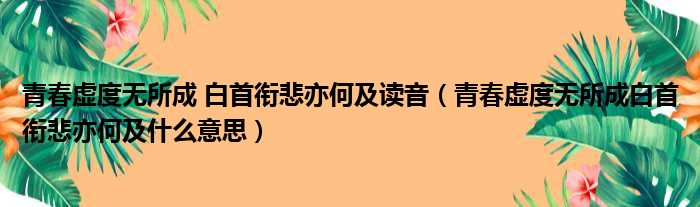 青春虚度无所成 白首衔悲亦何及读音 青春虚度无所成白首衔悲亦何及什么意思