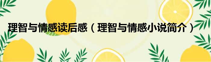 理智与情感读后感 理智与情感小说简介